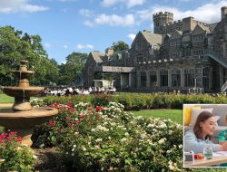 Wealthy Family Seeks Nanny for Twins: Must Be a Quiet Wonder Wealthy Family Seeks Nanny for Twins: Must Be a Quiet Wonder
