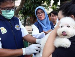 Kebijakan BPJS Hewan: Subsidi dan Mikrocip, Mengubah Wajah Perawatan Satwa Kebijakan BPJS Hewan: Subsidi dan Mikrocip, Mengubah Wajah Perawatan Satwa
