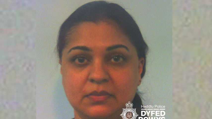 Nurse Stripped of License for Lying to Care for Babies
