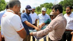 Wind Power Pioneers: Two New Projects Boost Energy in Mannar