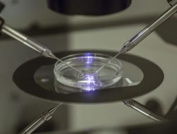 Europe’s Sperm Donation Policies Under Scrutiny After Cancer Gene Scandal
