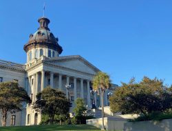 Fraud Bloating Insurance Costs: What’s S.C. Doing to Tackle It?