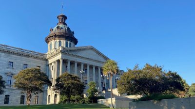 Fraud Bloating Insurance Costs: What’s S.C. Doing to Tackle It?