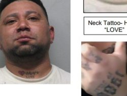Man Accused of Abduction and Attempted Rape Surrenders to Fairfax County Police Man Accused of Abduction and Attempted Rape Surrenders to Fairfax County Police