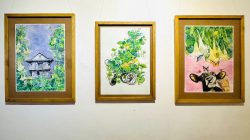 Public Canvas: Personal Stories Unveiled