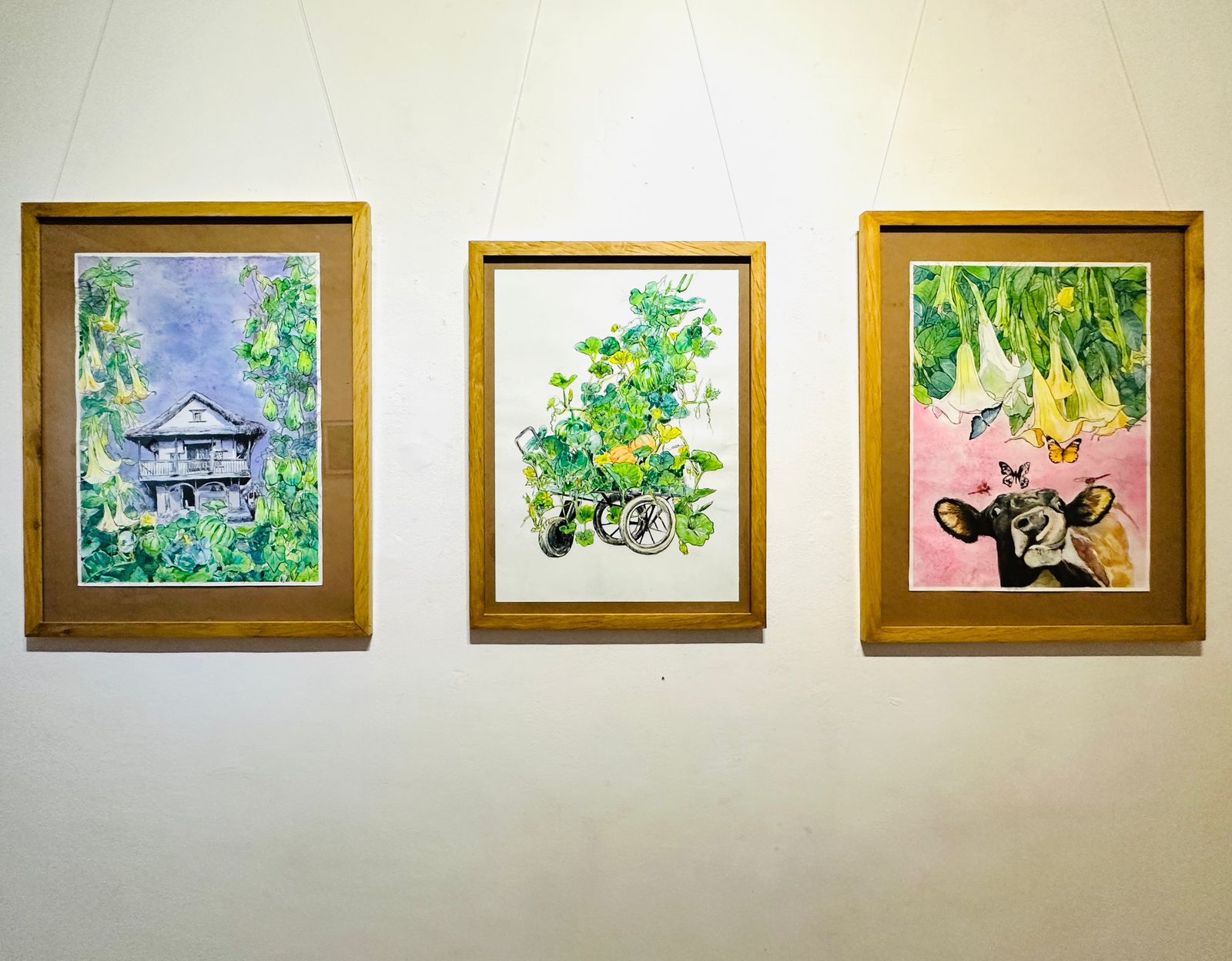 Public Canvas: Personal Stories Unveiled