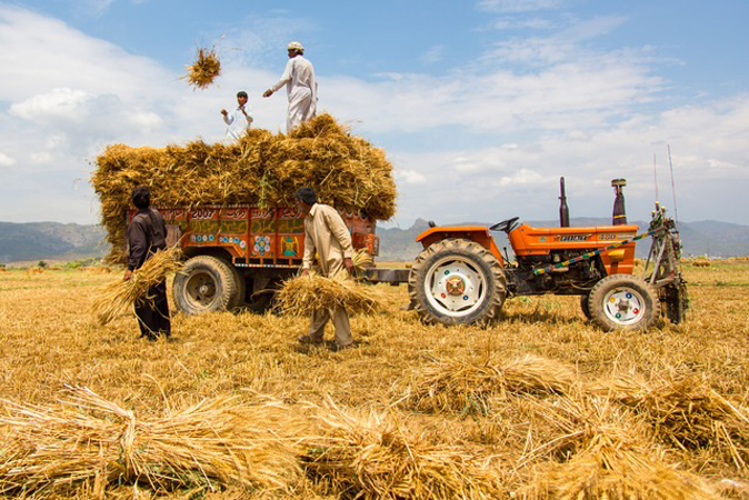 Agriculture Grows: 0.56% Global Boost (International Edition)