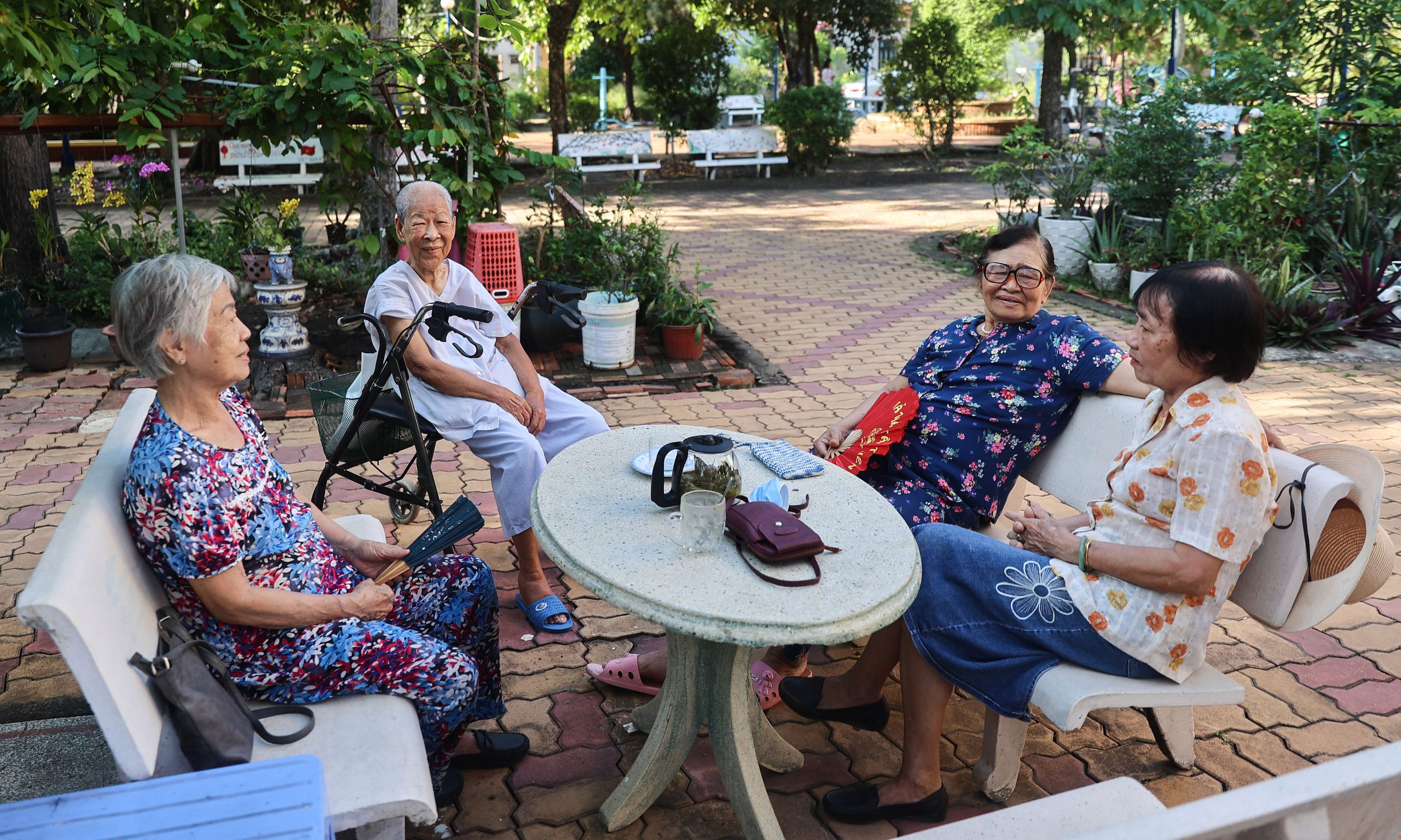 Scholarships Proposed to Boost Geriatrics as Vietnam’s Population Ages