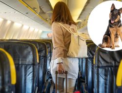 Italy Faces Backlash Over ‘Ridiculous’ New Cabin Rule as Passengers Question Its Sanity