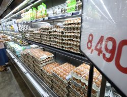 Budget Blues: Essential Prices Soar as ‘Cheapflation’ Grips South Korea