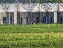 Rumah Subsidi Terbaru: Minimal 18 Meter Persegi untuk Perkotaan