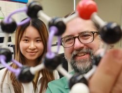 ‘Secrets of Flavor: Fingerprinting Plant Compounds Unveils Food and Drink Tastes’