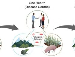 Q&A: Uniting Microbiome Sciences for Global Health and Sustainability