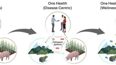 Q&A: Uniting Microbiome Sciences for Global Health and Sustainability