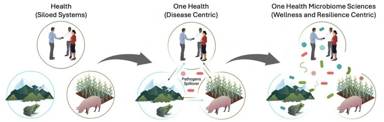 Q&A: Uniting Microbiome Sciences for Global Health and Sustainability