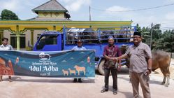 Panbil Group Sebar Kebahagiaan dengan Distribusi Hewan Kurban di Idul Adha 1446 H