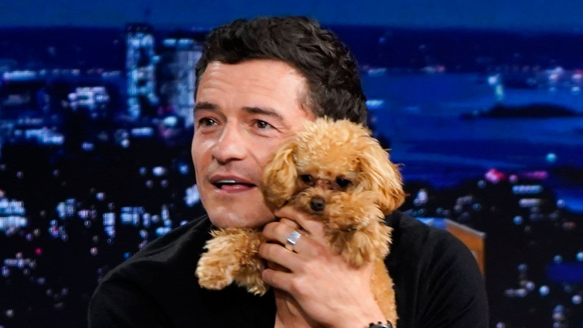 Orlando Bloom and His Pup Steal the Spotlight in NYC, While Katy Perry and Daisy Get Stylish in Sydney