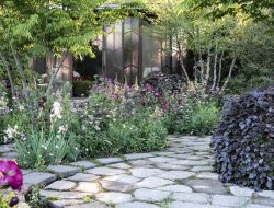 5 Neglect-Tolerant Trees That Thrive With Minimal Care – Expert Picks for Small Spaces 5 Neglect-Tolerant Trees That Thrive With Minimal Care – Expert Picks for Small Spaces