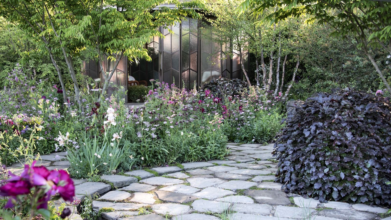5 Neglect-Tolerant Trees That Thrive With Minimal Care – Expert Picks for Small Spaces