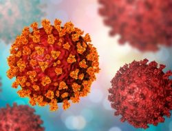 Sri Lanka Confirms First Two Deaths Due to New COVID-19 Variant