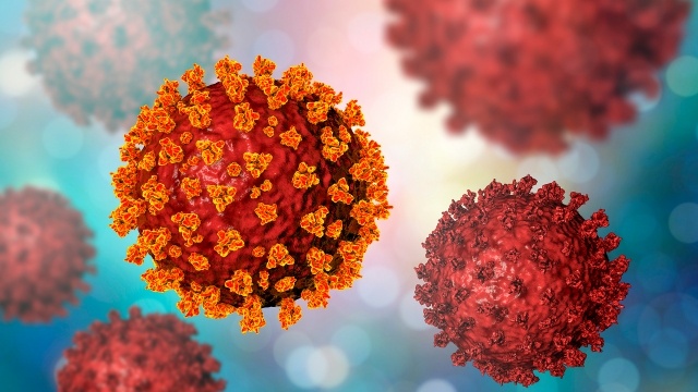 Sri Lanka Confirms First Two Deaths Due to New COVID-19 Variant