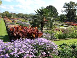 England’s Lush Palace Garden Crowned World’s Most Vibrant Green Space