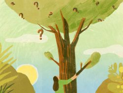 Want Better Solutions? Learn to Love the Question