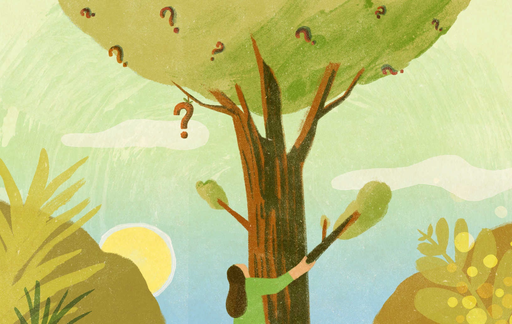 Want Better Solutions? Learn to Love the Question