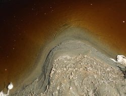 Report Finds Dust Reduction Efforts at Owens Lake Bed Showing Positive Results Report Finds Dust Reduction Efforts at Owens Lake Bed Showing Positive Results