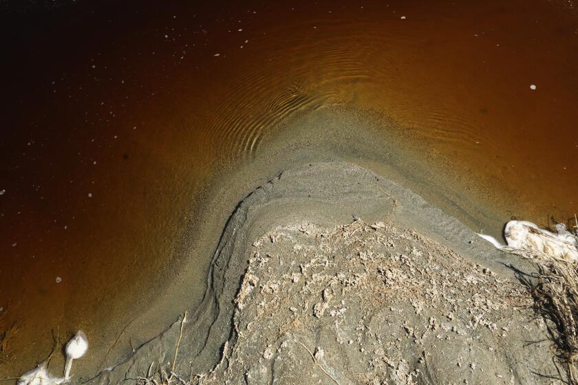 Report Finds Dust Reduction Efforts at Owens Lake Bed Showing Positive Results