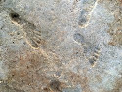 New Research Bolsters Case for Ancient Age of New Mexico’s Mysterious Footprints New Research Bolsters Case for Ancient Age of New Mexico’s Mysterious Footprints
