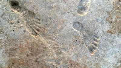New Research Bolsters Case for Ancient Age of New Mexico’s Mysterious Footprints