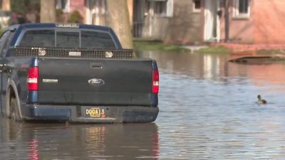 What Metro Detroit Drivers Should Do When Their Car Stalls in Flooded Conditions