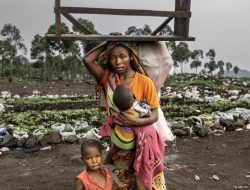 World Refugee Day: 9 Charts Revealing the Global Displacement Crisis