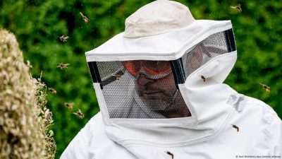 How Dangerous Are Invasive Insects Threatening Europe?
