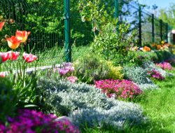 12 Timeless Perennials That Will Beautify Your Garden for Years