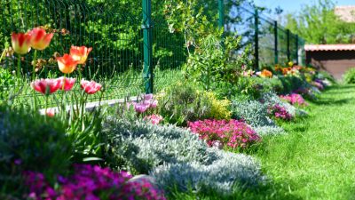 12 Timeless Perennials That Will Beautify Your Garden for Years