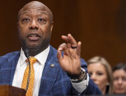 Senate Bill Would Bolster Obamacare, Red State Hospital CEO Claims