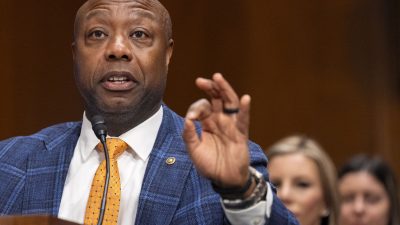 Senate Bill Would Bolster Obamacare, Red State Hospital CEO Claims