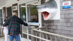 Shark Week Shenanigans: Movie Fans Flood Holiday Hotspot for Jaws’ 50th Anniversary