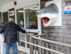Shark Week Shenanigans: Movie Fans Flood Holiday Hotspot for Jaws’ 50th Anniversary