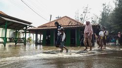 Gubernur Jateng Ahmad Luthfi dan Penanaman Mangrove: Harapan Pemalang Bebas Abrasi