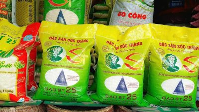 **”Counterfeit ST25 Rice, Once Voted World’s Best, Sold Across Vietnam for Over  a Pack”**