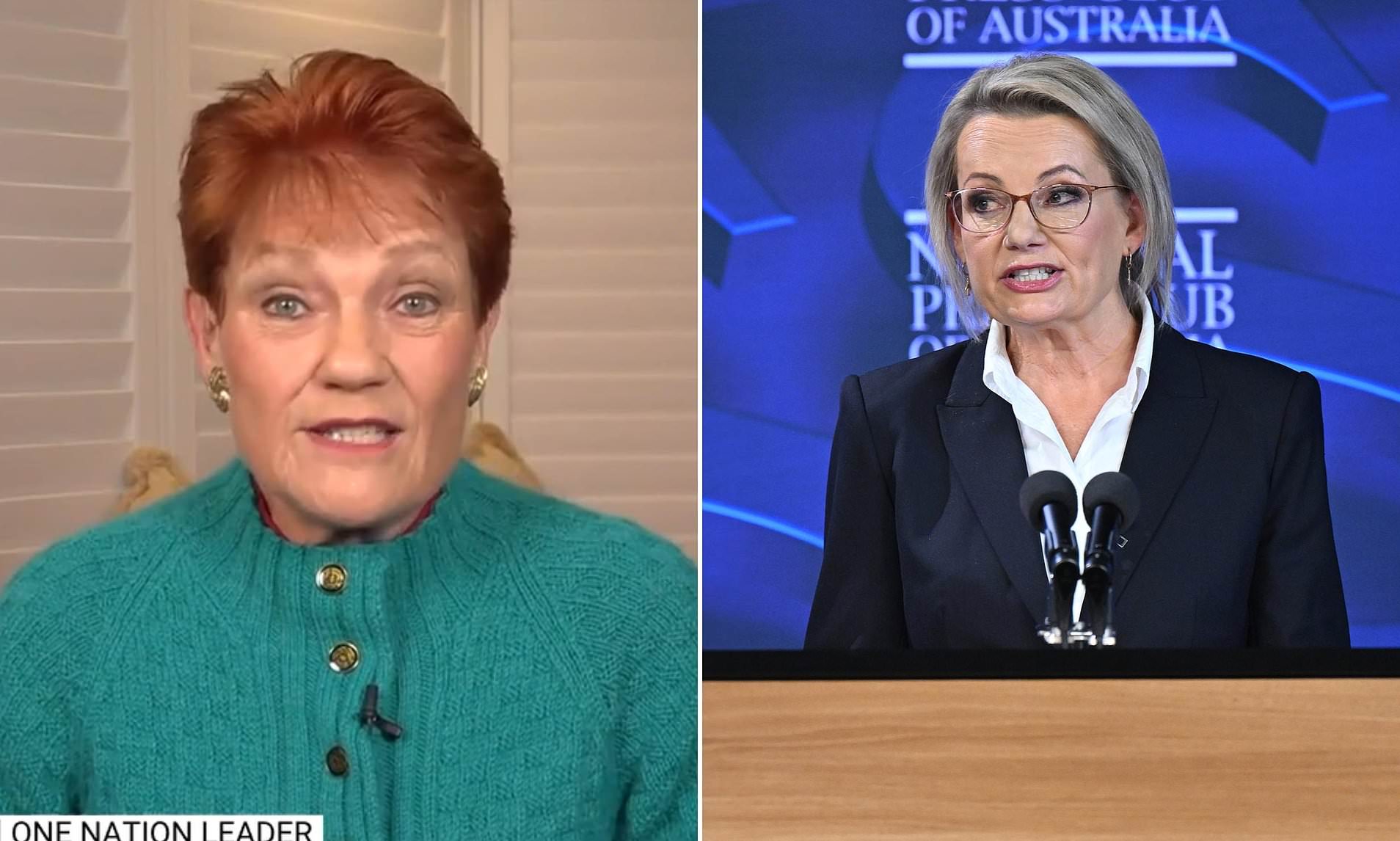 Pauline Hanson Shocked by Fellow Aussie Politician’s Stunt: ‘Utterly Disgusted’