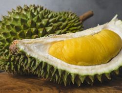**”Singapore’s Online Durian Sellers Heat Up Battle Against Traditional Stores”** **”Singapore’s Online Durian Sellers Heat Up Battle Against Traditional Stores”**