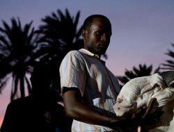 Senegal’s Elite Sheep Compete for Bloodline Glory at Prestigious Pageant in Canada