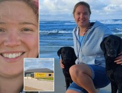 Homeowner Sues Dogs Trust for £200k After Attack by ‘Misbehaving’ American Bulldog