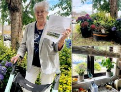 Great-Grandmother Told to Remove Plant Pots for Blocking Lawn Maintenance Great-Grandmother Told to Remove Plant Pots for Blocking Lawn Maintenance