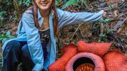 China’s Daredevils Dive Into Adventure Tourism, Lured by Social Media Off the Grid