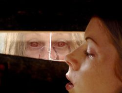 What Movie Should You Watch Tonight? Dive Into ’28 Weeks Later,’ the Gripping Sequel to ’28 Days Later’